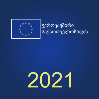 EU Prize for Journalism 2021